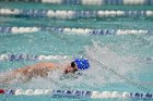 Swimming & Diving vs RWU  Swimming & Diving vs Roger Williams University. - Photo by Keith Nordstrom : Wheaton, Swimming
